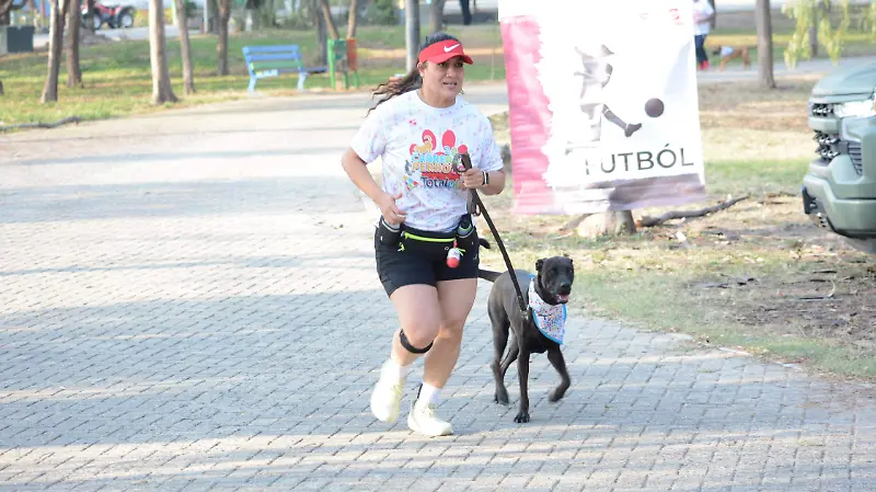 Se vieron perros de diferentes razas. 